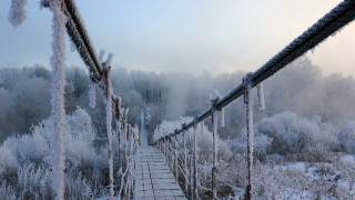 Ice frosted bridge woods path - ice free wallpaper
