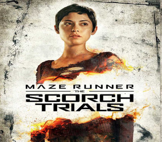 Maze runner scorch trials burning - a woman in a dress free wallpaper for tablet
