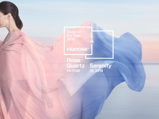 Woman pink dress pantone color - pastel color palette free wallpaper