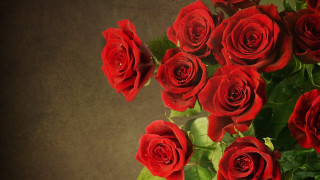 Red roses vase table brown 2 - red rose free wallpaper