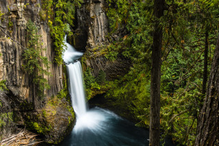 Waterfall forest trees surrounding stream - a waterfall in a forest free wallpaper