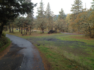 Pond fence forest waterfall trees - a pond free wallpaper for desktop