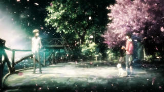 Man woman bridge dog fireworks - a dog in front free wallpaper