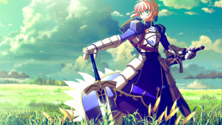 Woman long dress holding sword - ufotable free wallpaper