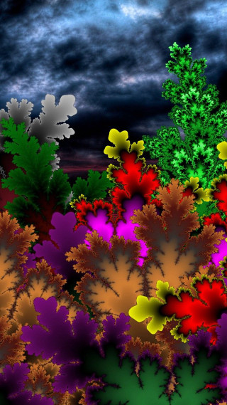 Flowers night sky clouds digital - the night sky free wallpaper for mobile