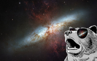Bear sunglasses galaxy sky head - cosmic free wallpaper