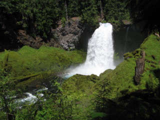 Waterfall forest moss stream nature - green moss free wallpaper
