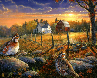 Birds rock field barn sunset - thomas kindkade free wallpaper