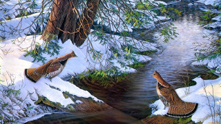Birds snowy bank stream woods - two bird free wallpaper