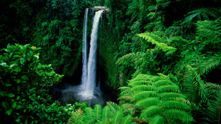 Waterfall lush green foliage trees - arthur quartley free wallpaper