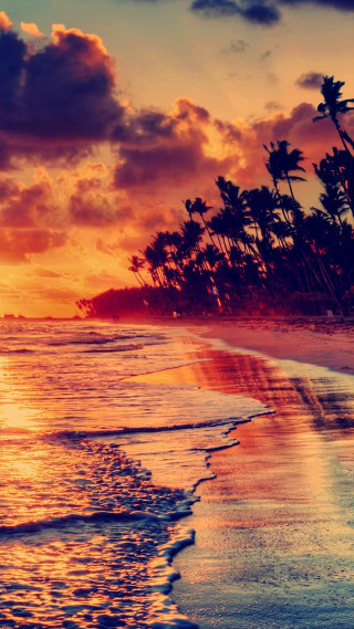 Beach sunset palm trees surfboard - the sun free wallpaper for mobile