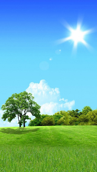 Green field tree blue sky 6 - sun free wallpaper for mobile