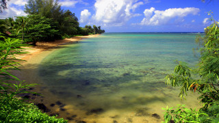 Bascove beach blue water trees - clear blue water free wallpaper