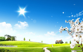 Green field white flower house - sunny day free wallpaper