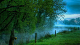 Foggy lake fence trees night 2 - a fence and trees free wallpaper