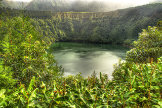 Lake green trees mountains cloudy - hdr free wallpaper