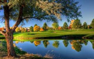 Golf course pond trees background - a pond and trees free wallpaper
