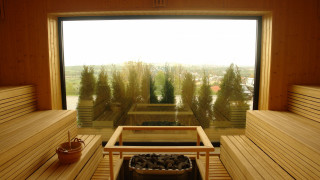 Wooden bench window view trees - a planter free wallpaper