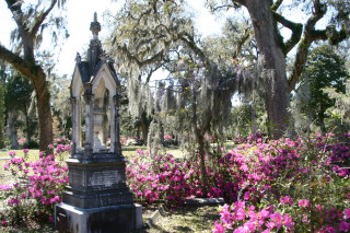 Cemetery clock flowers trees spanish - a cemetery free wallpaper