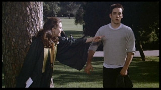 Man woman tree park standing - the other man free wallpaper