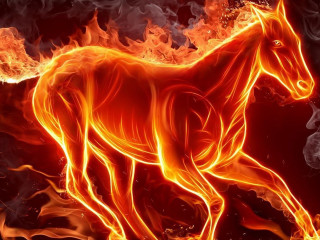 Horse running fire field flames 7 - a horse free wallpaper