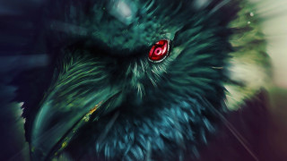 Bird red eye black beak - a green background and a blurry background free wallpaper