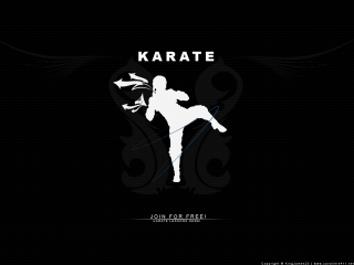 Black white karate poster kicking - simple form free wallpaper