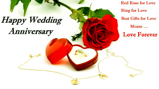 Red rose ring wedding anniversary - douglas robertson bisset free wallpaper