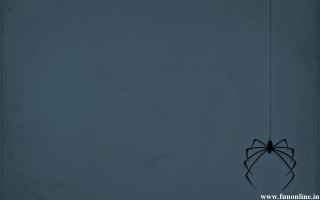 Dark spider web minimalism blue - a spider free wallpaper