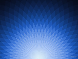 Blue background large flower pattern - golden ratio illustration free wallpaper