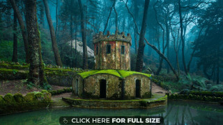 Castle forest pond green roof - a green roof free wallpaper