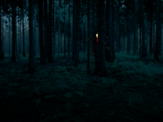 Dark forest person flashlight light - a flashlight free wallpaper