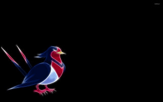 Bird red white blue tail - chica macnab free wallpaper
