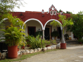Red white house plants car - front view free wallpaper