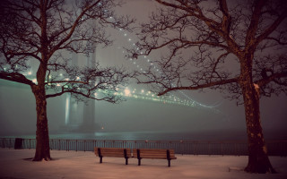 Bench snow tree bridge night - winter free wallpaper