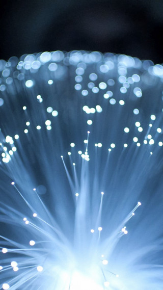 Blue flower white lights black - free light wallpaper for mobile