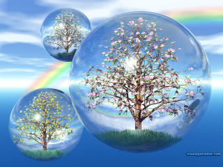 Tree bubble rainbow background rainbow - surreality free wallpaper