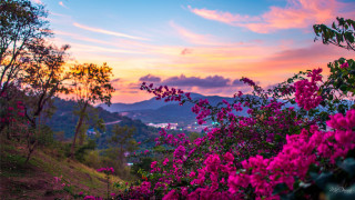Sunset mountain pinkflowers city sky - cindy wright free wallpaper for desktop