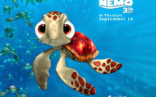 Cartoon turtle swimming ocean caption 2 - david young cameron free wallpaper