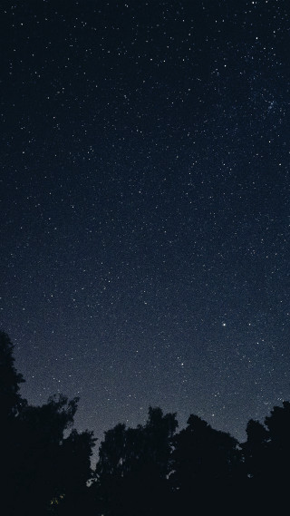 Night sky stars trees foreground 5 - a night sky free wallpaper for mobile