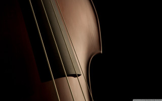 Violin strings closeup dark background - the dark background free wallpaper