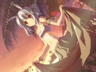 White hair blue dress palm - a palm tree free wallpaper for desktop