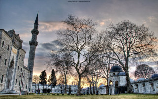 Large building tower tree grassy 2 - art noveau free wallpaper