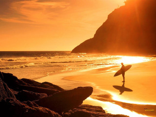 Person holding surfboard walking beach 6 - the background and a rock free wallpaper