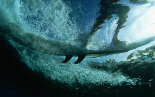 Man riding surfboard underwater ocean - a len free wallpaper