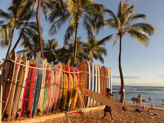 Surfboards beach ocean palm trees - kodachrome free wallpaper