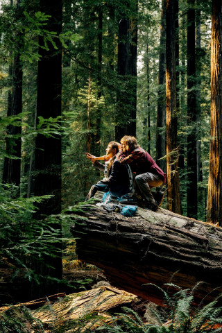 Forest pond romantic figure lens - free forest wallpaper for mobile