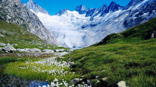 Mountain range stream flower field - mountain in the background free wallpaper