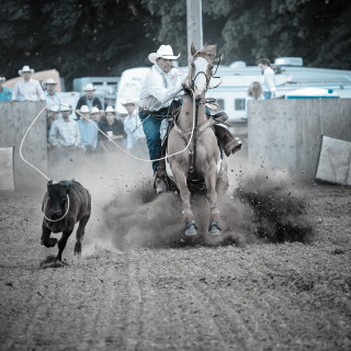 Man horse chasing dog rodeo - free dogs wallpaper for tablet