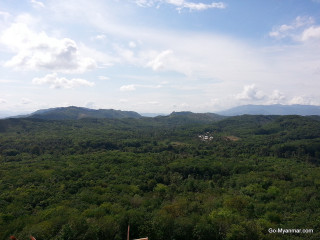 Lush green forest mountains blue - a view free wallpaper for desktop